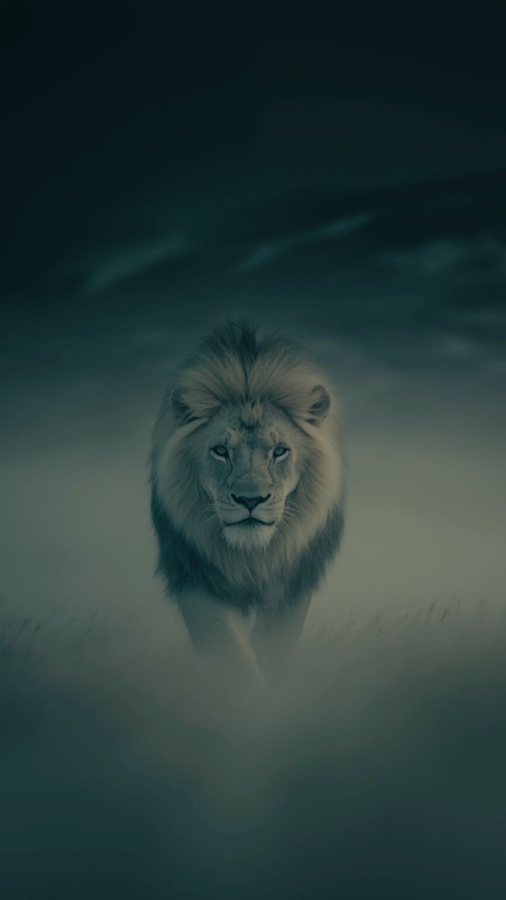 منصة شريك
